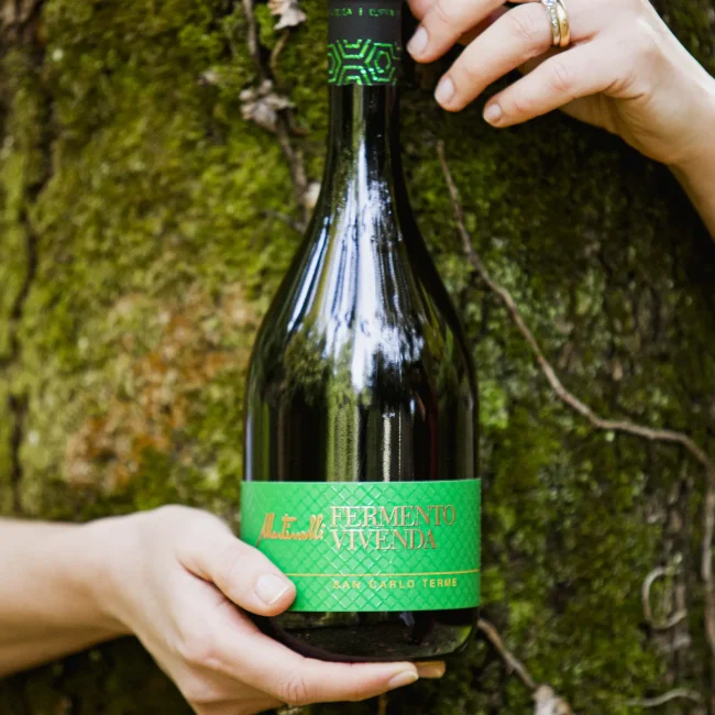 vivenda_acqua_san_Carlo